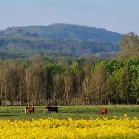 Doernbergblick Klinge